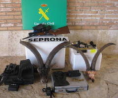 Detenidos en Teruel tres furtivos de Madrid con cabezas de cabra montés tras darse a la fuga